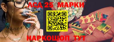 стаф Бийск