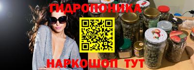 стаф Бийск