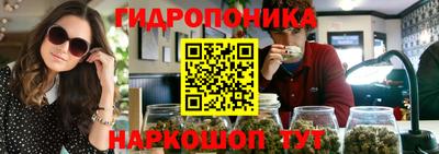 стаф Бийск
