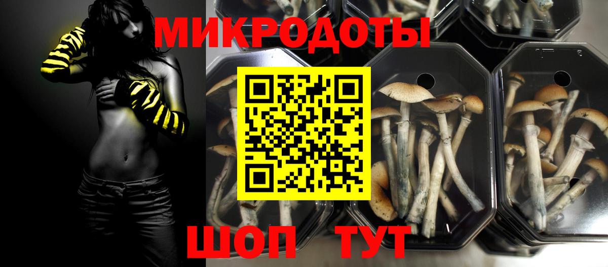 Кириши  Псилоцибиновые грибы Psilocybine cubensis  Вход с VPN 